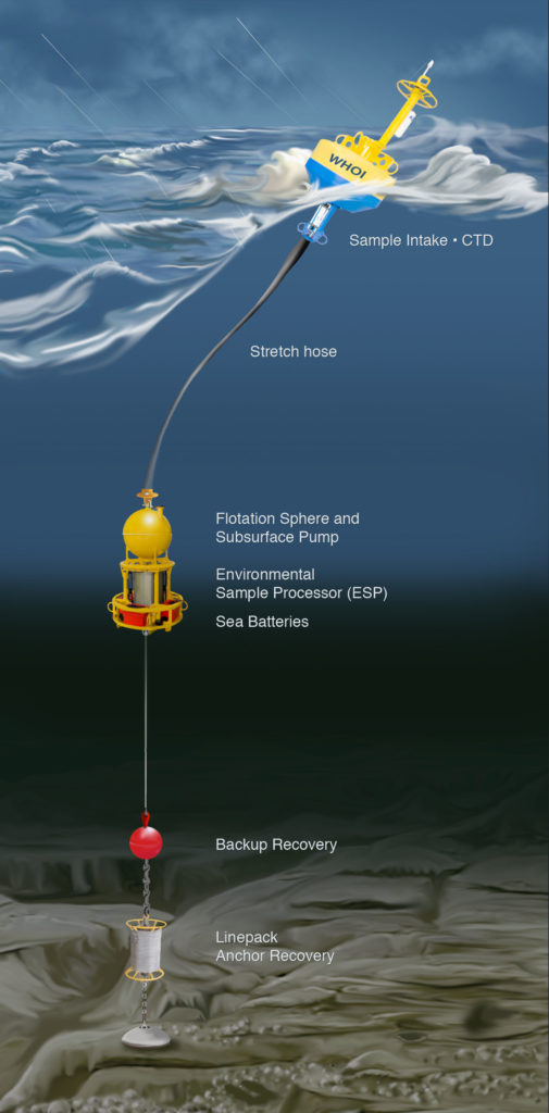 A schematic of the ESP mooring assembly
