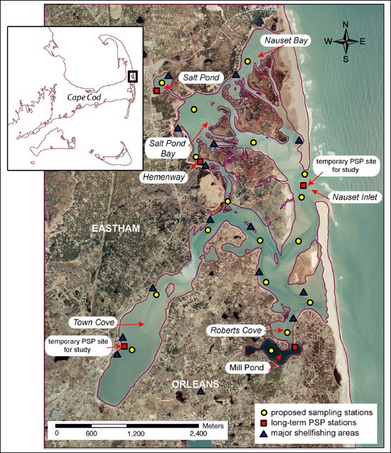 Proposed hydrographic sampling stations (circles) within the Nauset Marsh estuary
