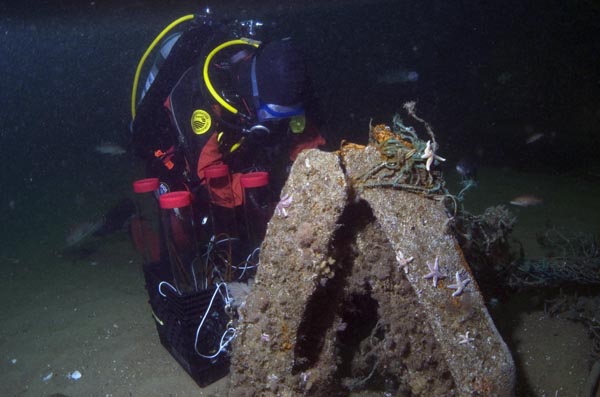 Researcher Ben Haskell at work on the site of the Josephine Marie shipwreck