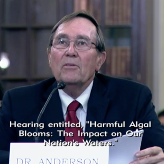 Don Senate Testimony