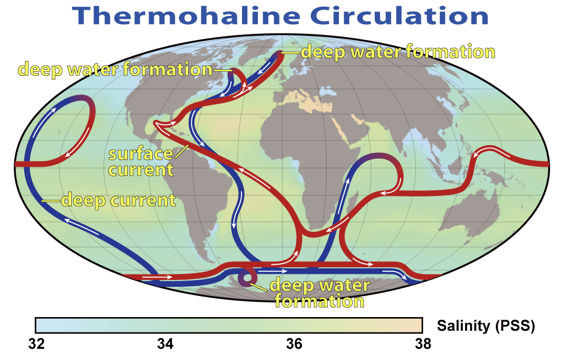 Thermohaline_Circulation_2