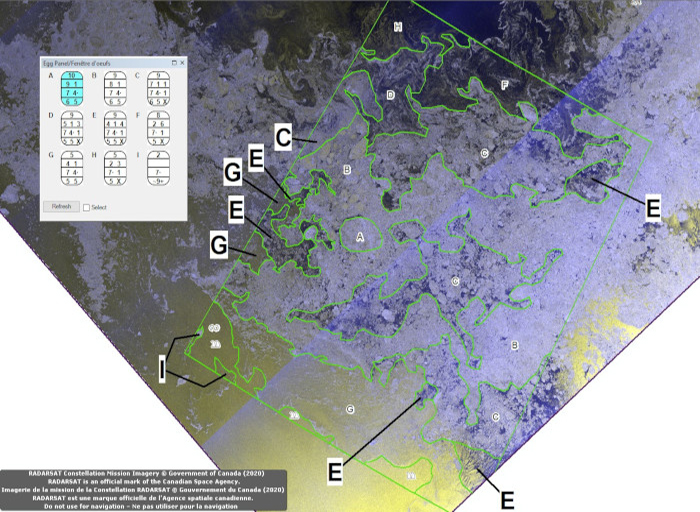Ice analysis with a RADARSAT satellite image