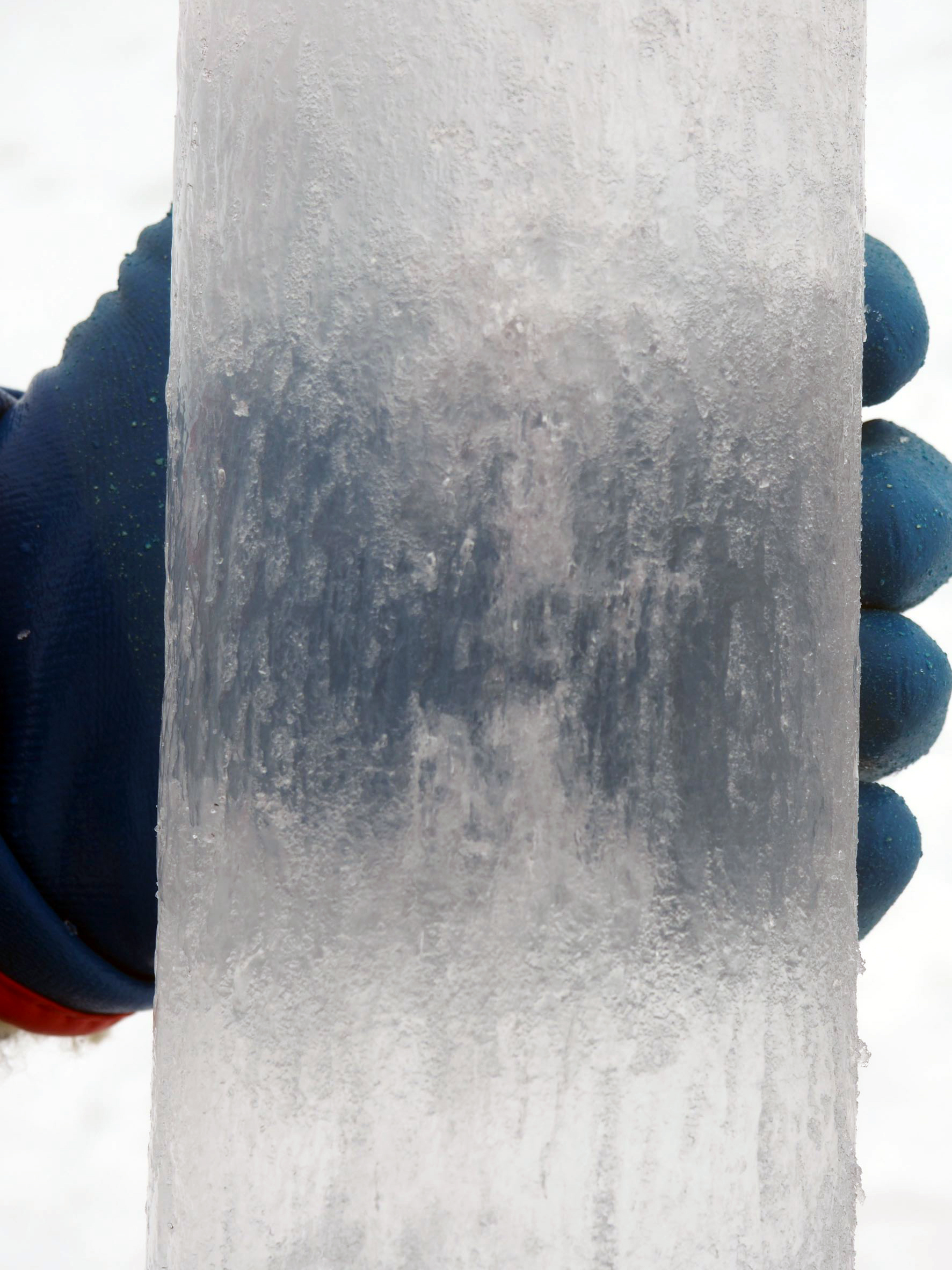 The brine channels in sea ice are especially visible in our ice station cores. (Photo: Helen Gemmrich)