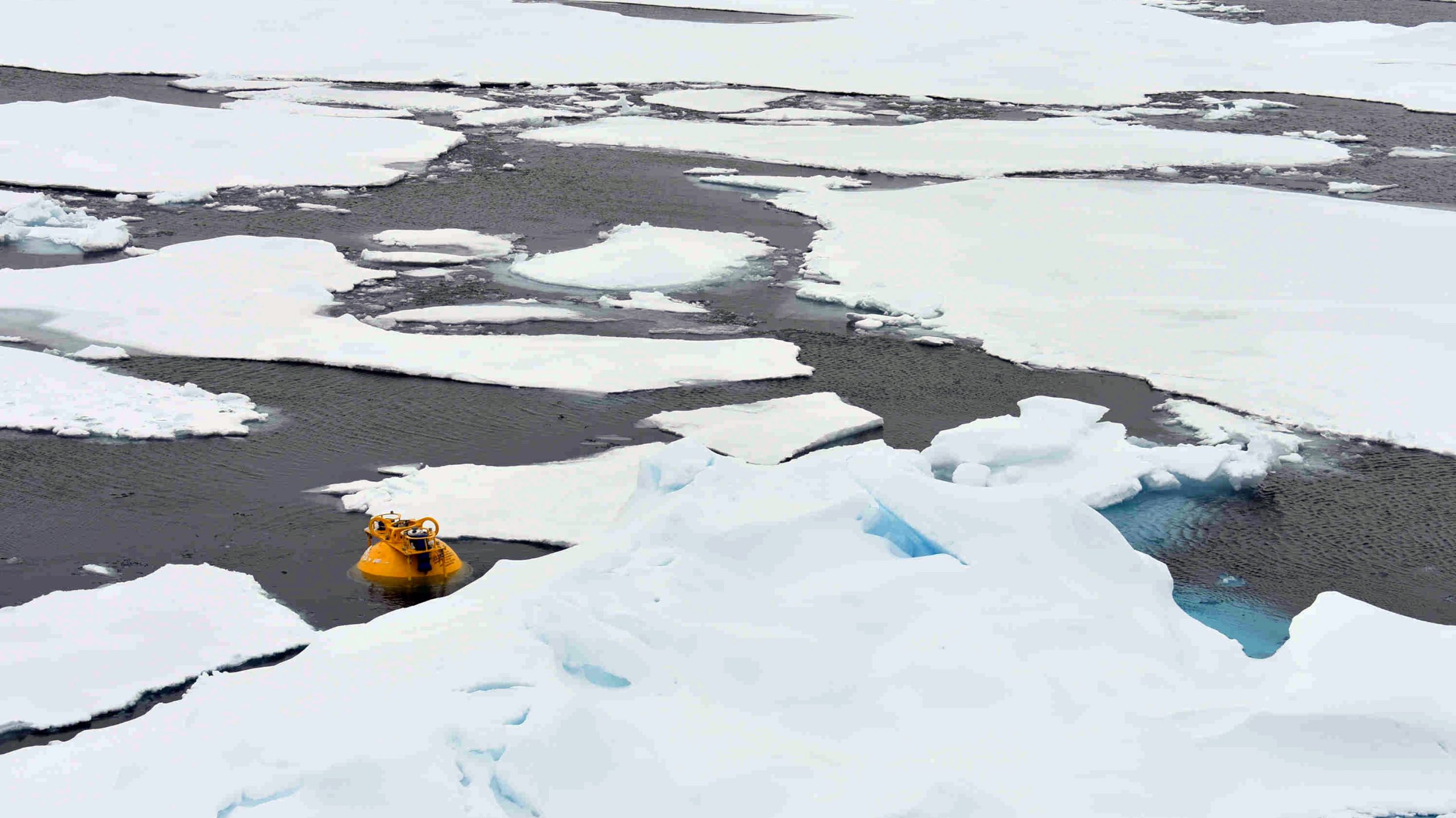 Mooring A’s top sphere surfaced behind a sea ice ridge. (Photo: Isabela Le Bras)