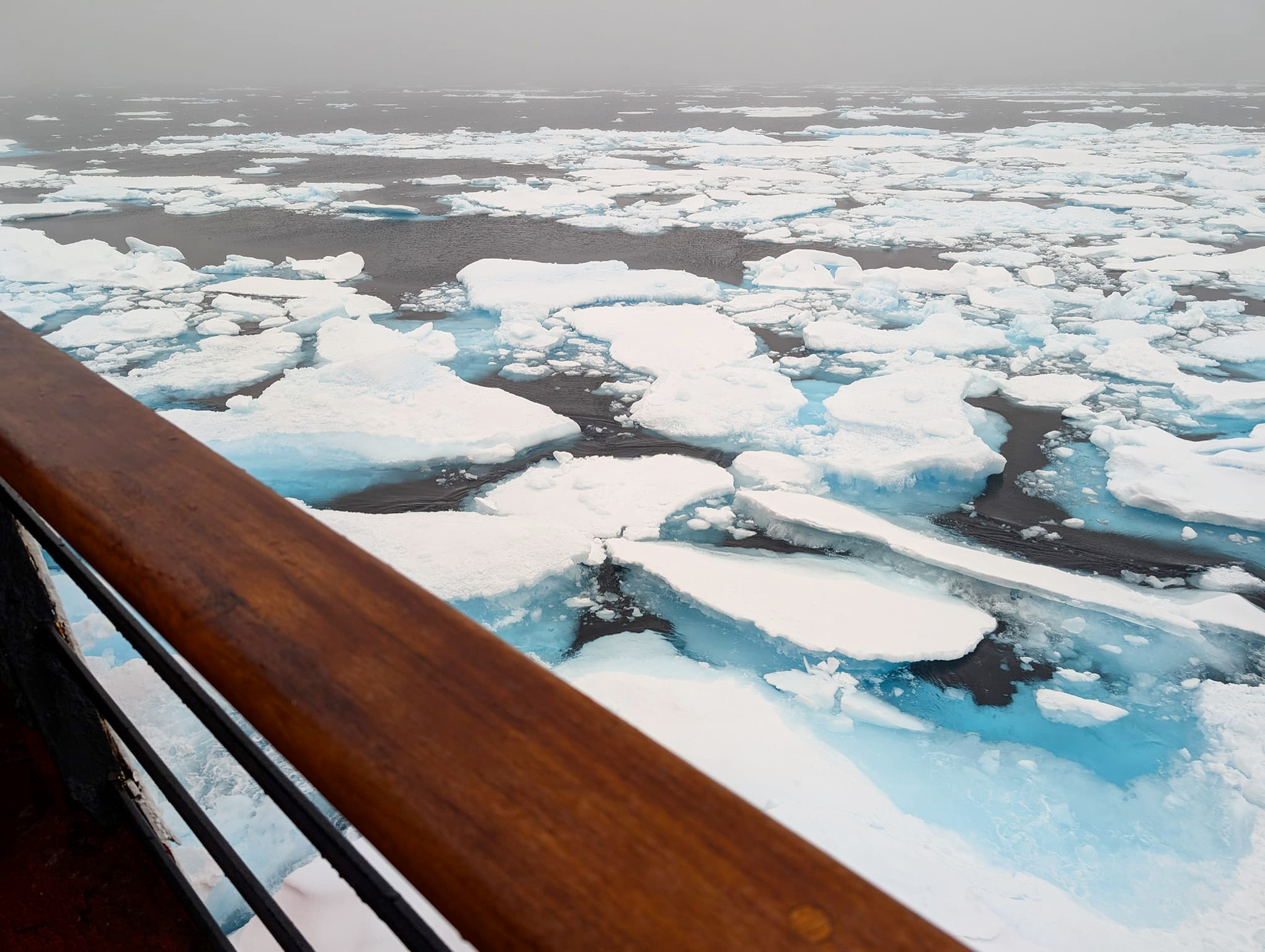 Morning sea ice (Photo by Mary-Louise Timmermans)