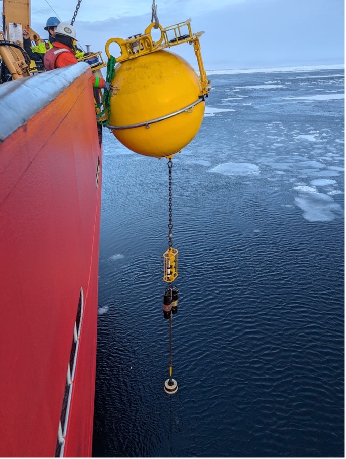 The top portion of the mooring is brought on board.