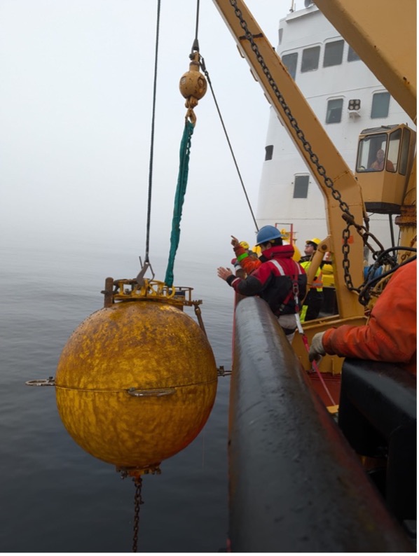 The surface sphere of the AON BS-3 mooring is brought on board (Photo by Mary-Louise Timmermans)