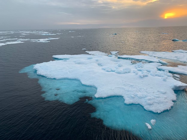 Photo 2: Sea ice! Photo by Andrew Ross. 