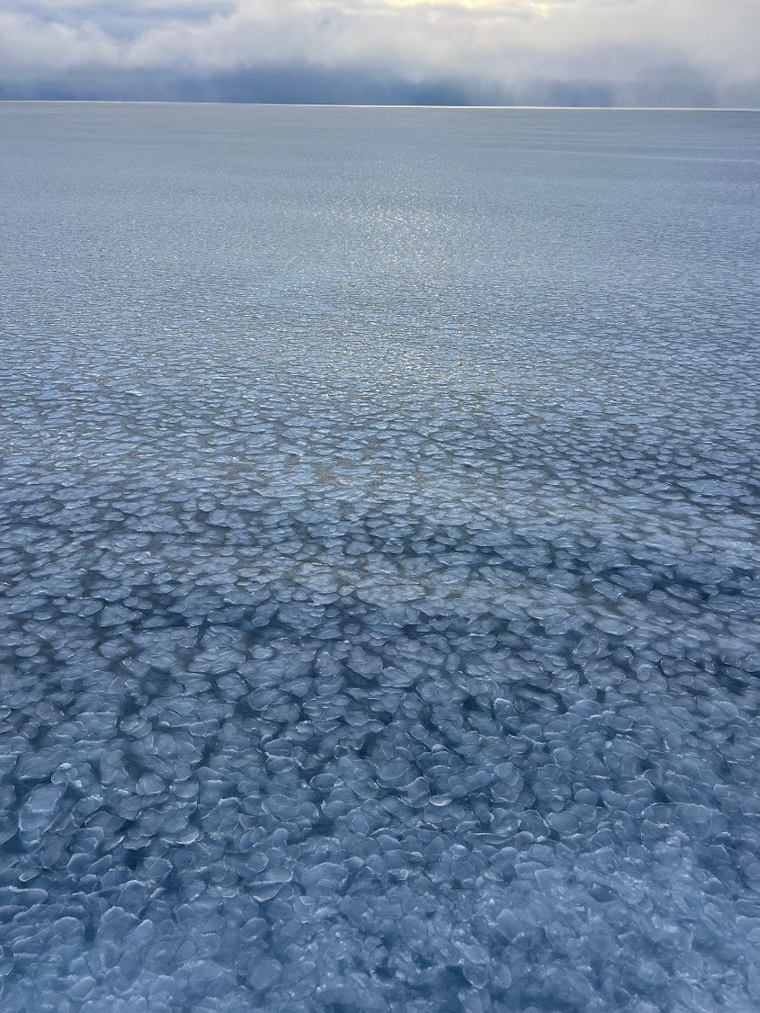 Photo 1: Pancake Ice! Photo by Annabel Payne.