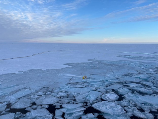 Photo 5: TOP13 sitting in the sea ice. 