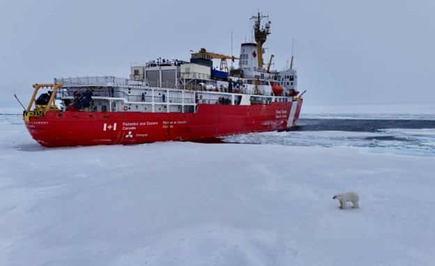 Photo 1: A polar bear wandering near the Louis during Mooring B’s deployment. Photo by Paul Macoun. 