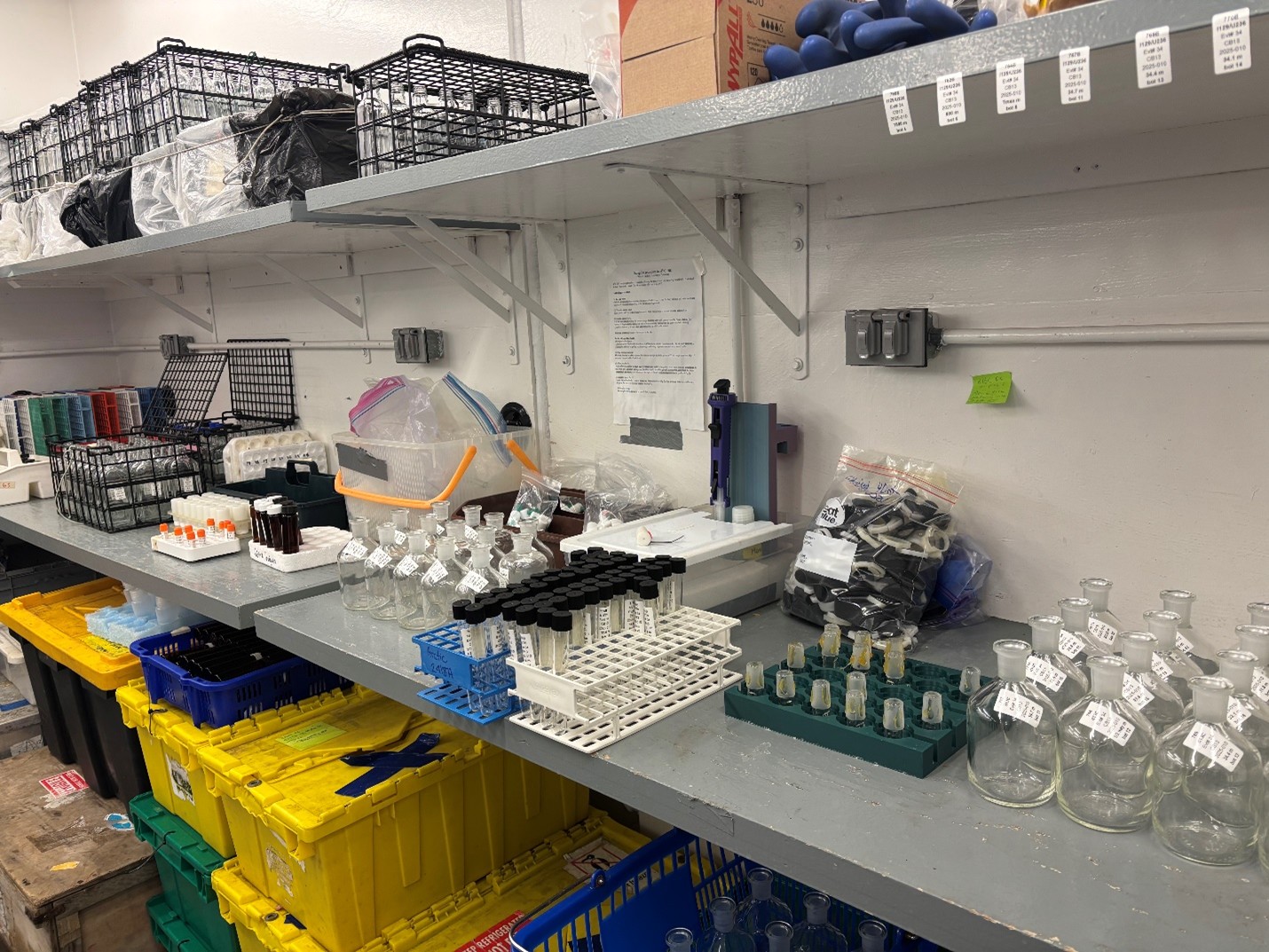 Dispatch19Photo3 Photo 3: Sample bottles that have been set out and labeled before the CTD rosette cast at CB-13.