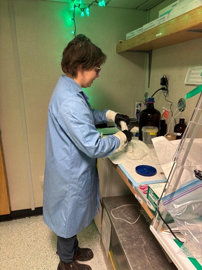 Dispatch27Photo6 Photo 6: Erinn Raftery working in the chlorophyll lab.