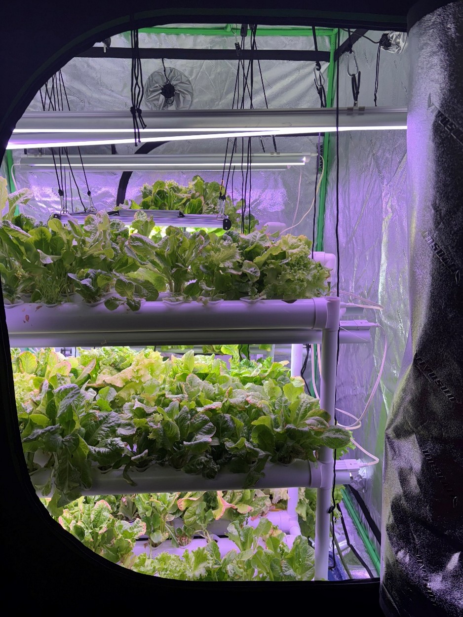 Dispatch28Photo4 Photo 4: The hydroponic tower used to grow lettuce on board.