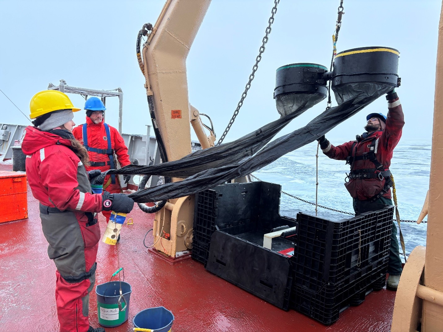 Picture10 Photo 7: (left to right) Annabel Payne, Andrew Ross, and Chris Clarke bringing the Bongo sampling nets on deck after collecting a zooplankton sample at CB-3.