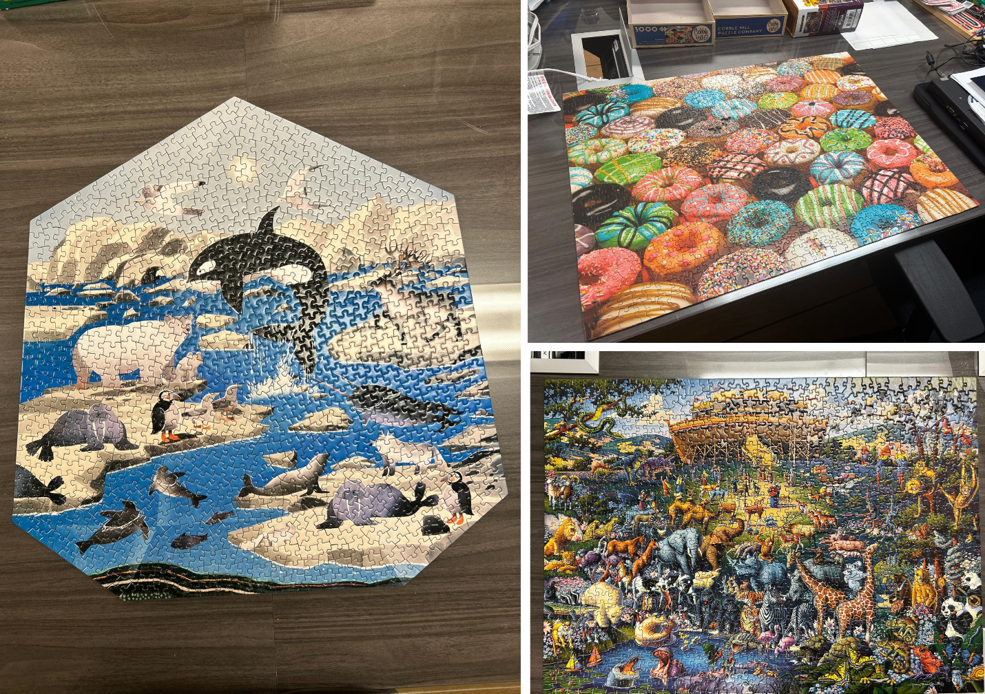 Picture8 Photo 4: Some of the puzzles completed on this year’s cruise. Photos by Sarah Zimmermann, Jennifer Kosty, and Dominique Baker.