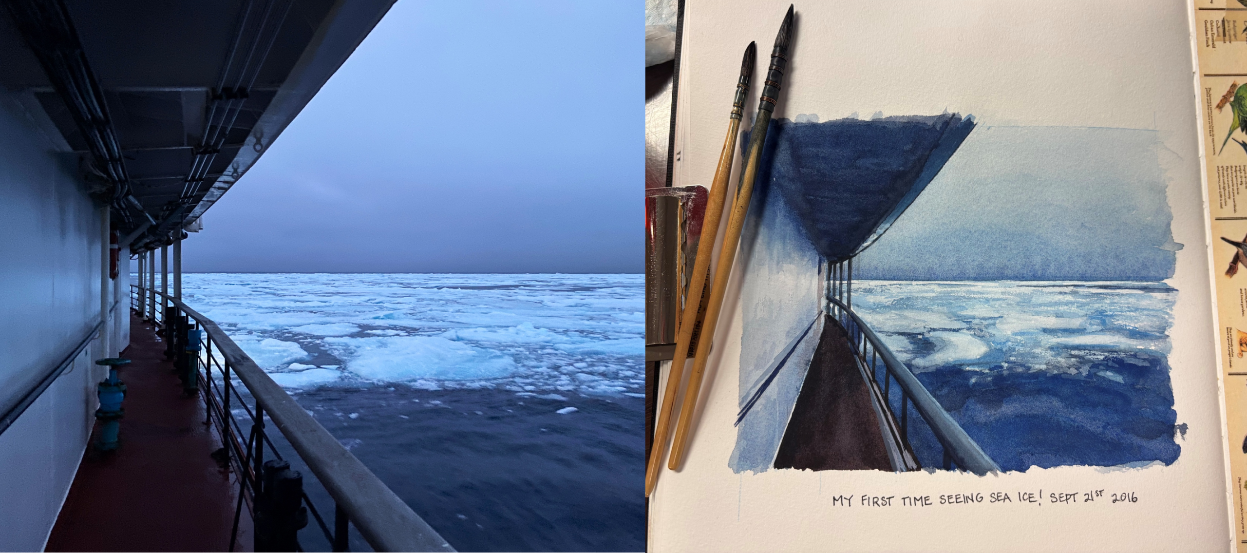 Sea ice! Watercolor sketch by our artist in residence, Monika Leovenmark, and the photo that inspired it. Photo and painting by Monika Loevenmark. 