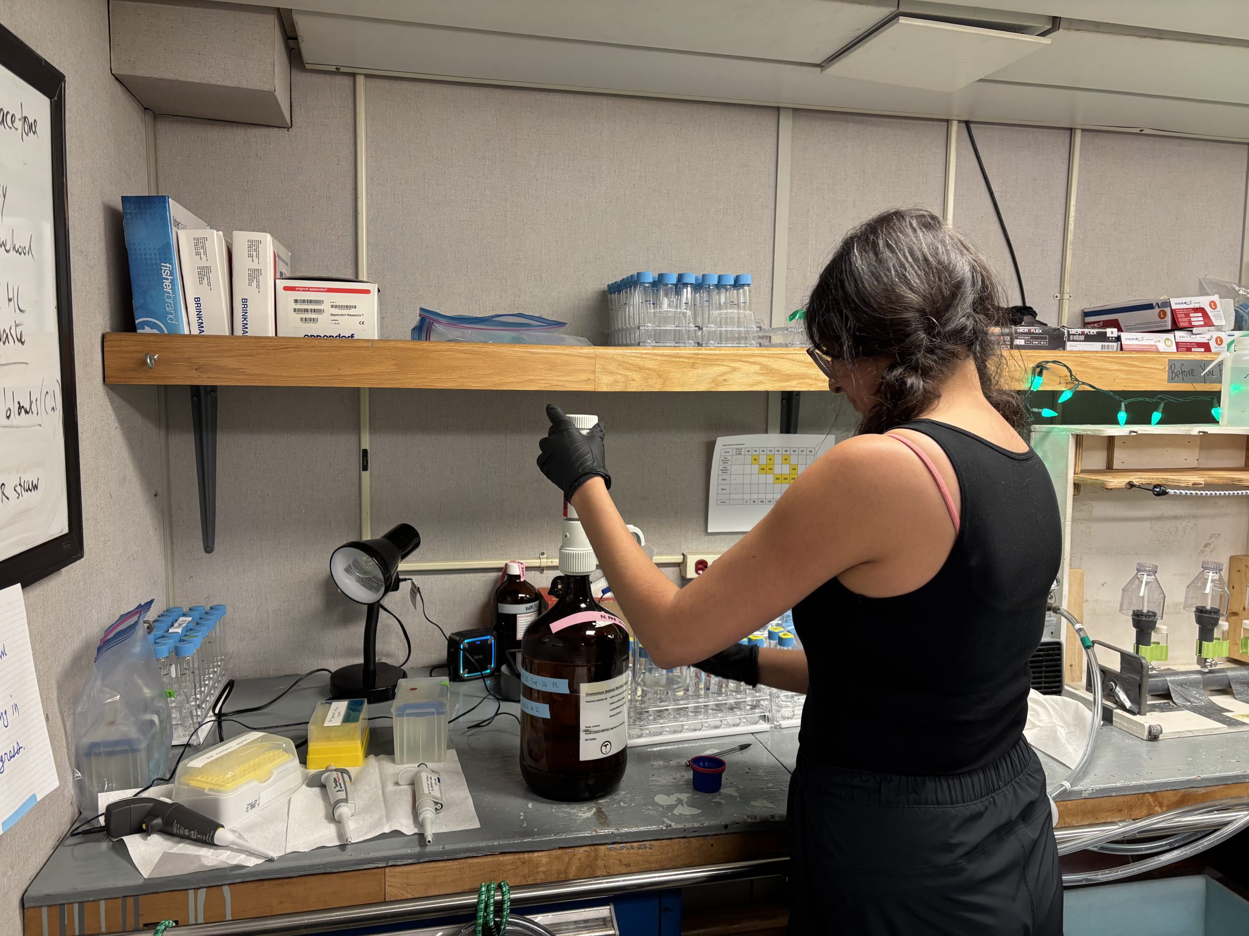 Francesca Loro processing ammonium samples. Photo by Jennifer Kosty. 