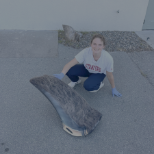 Ingrid Whale Photo