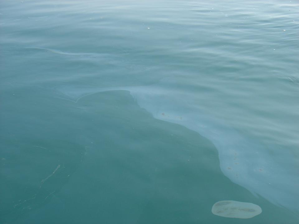 Image of oil-contaminated sea surface