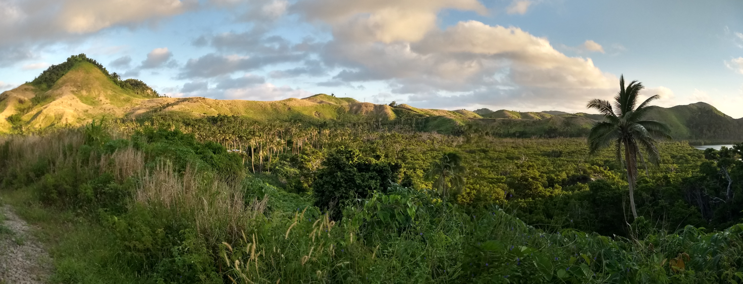 Hills and mangrove forest near Vanua Balavu village, Fij