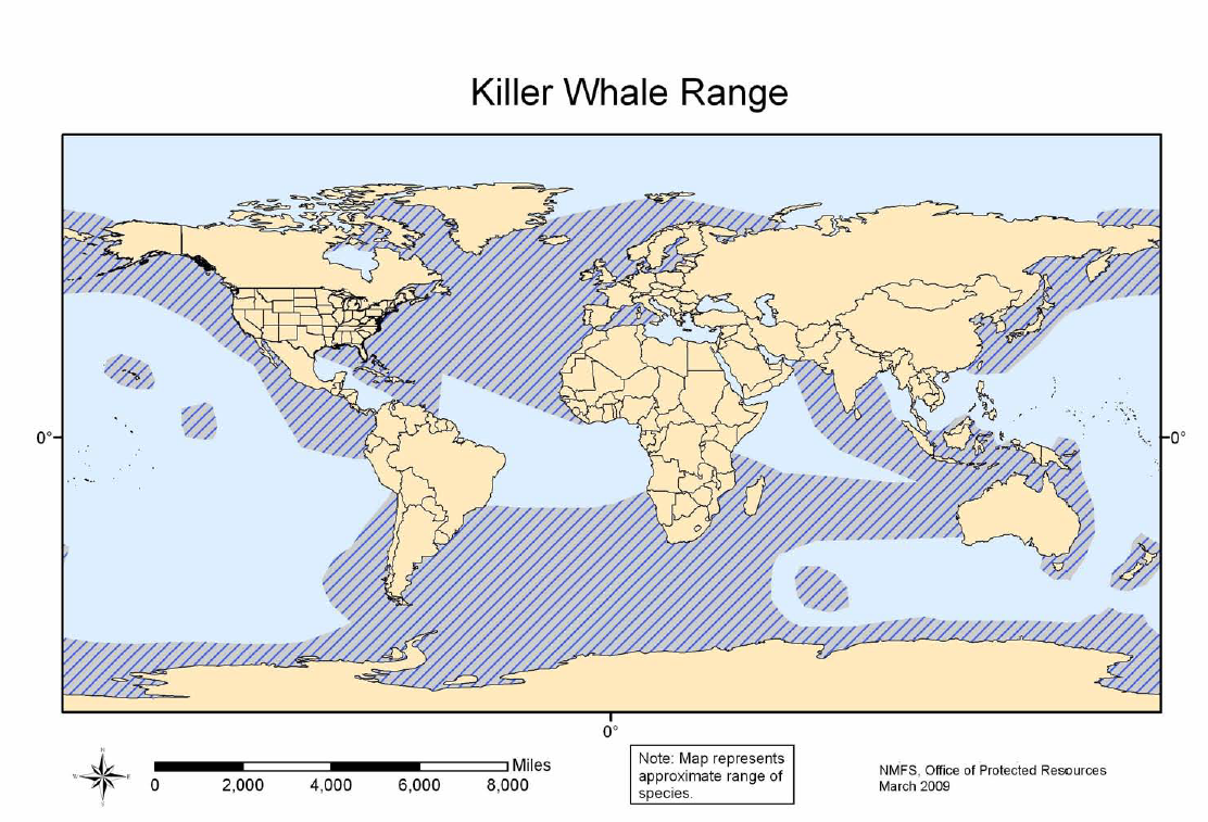 Killer Whale Range