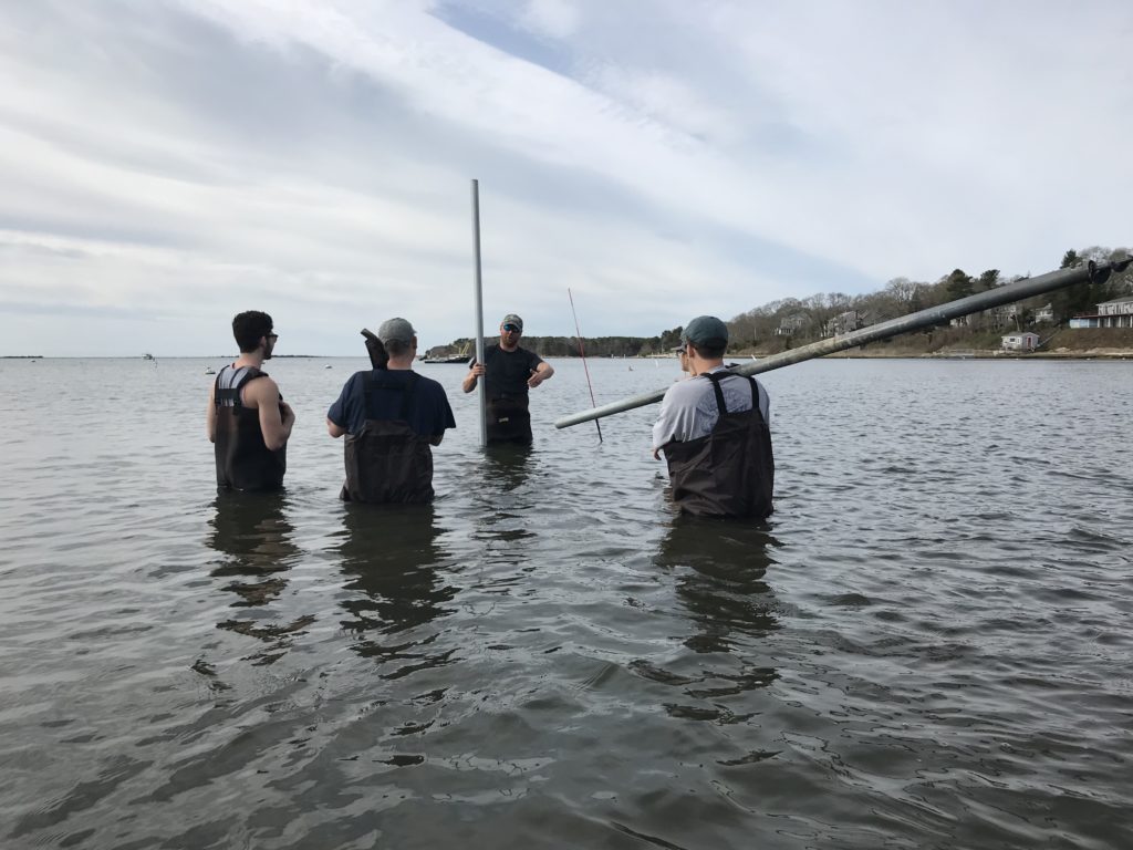 Coastal Eutrophication — Investigation of Oyster Aquaculture Solutions