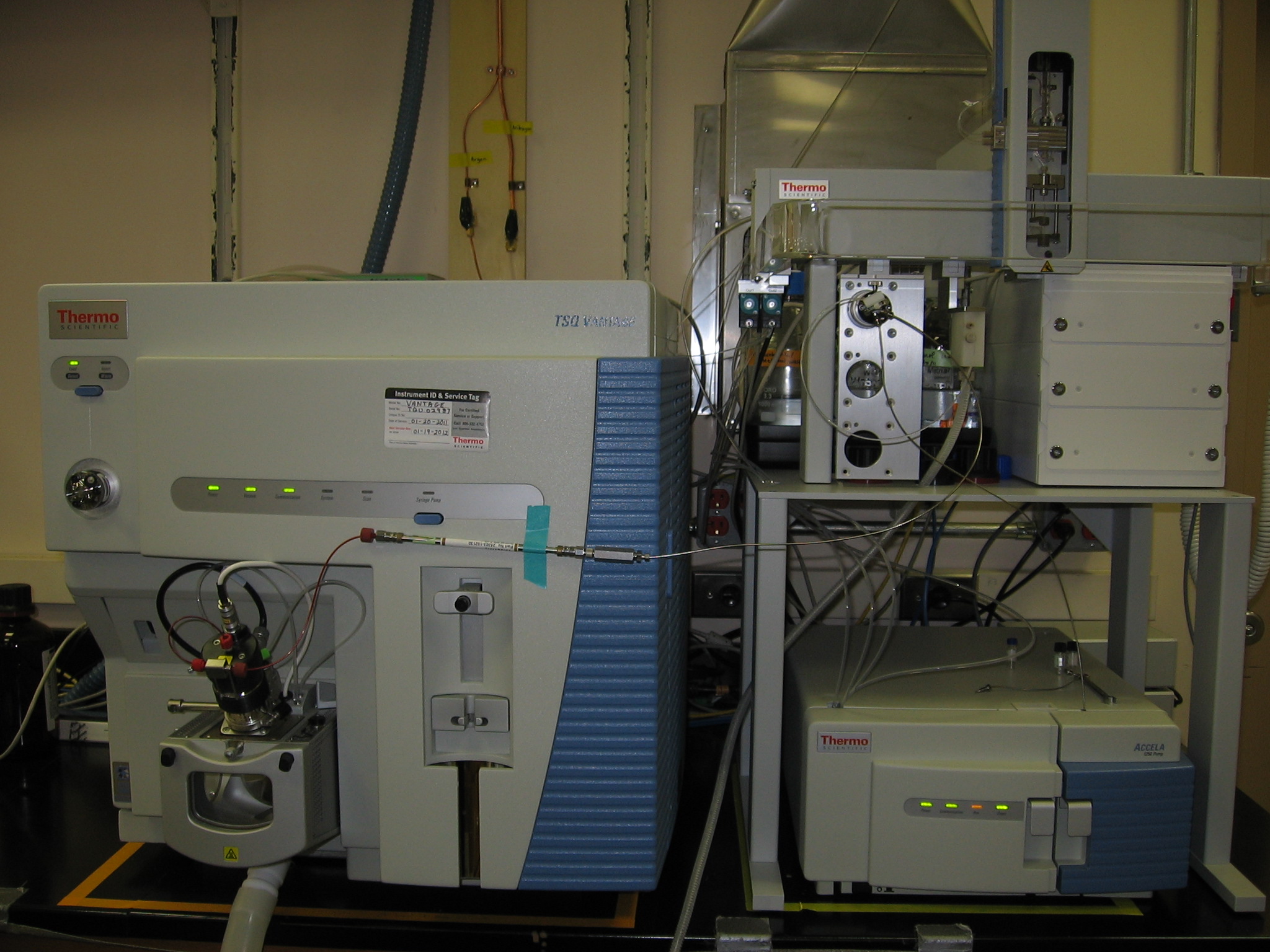 The TSQ Vantage mass spectrometer (a triple quadrupole mass spectrometer). 