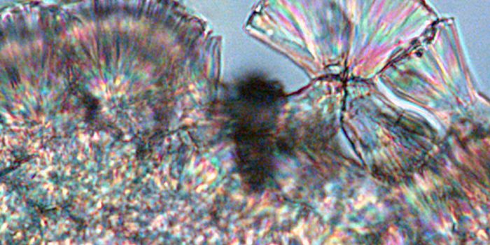 Aragonite Thumbnail