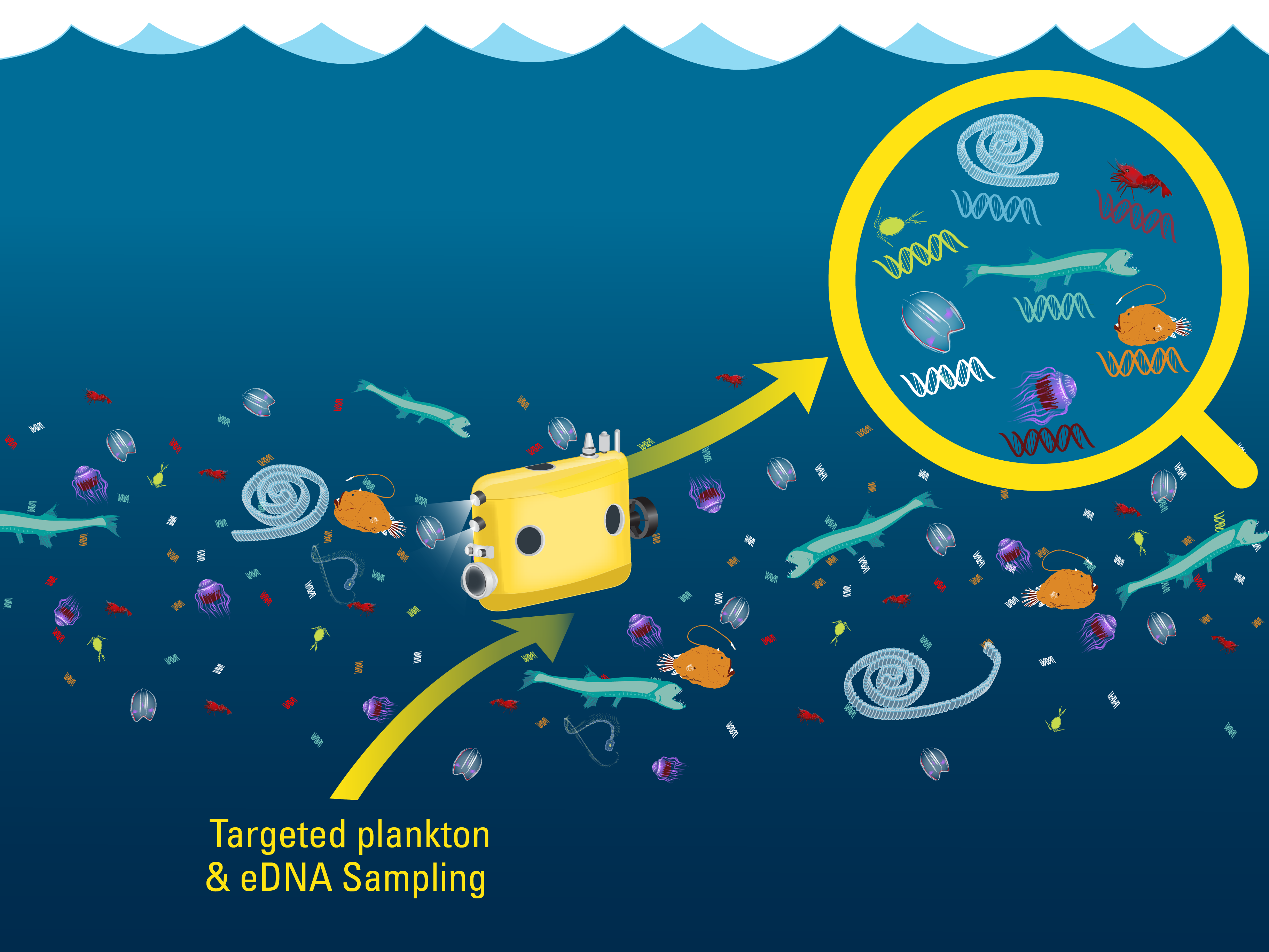 dna - auv eDNA Slides5-01