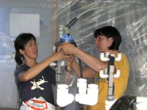 People doing an experiment