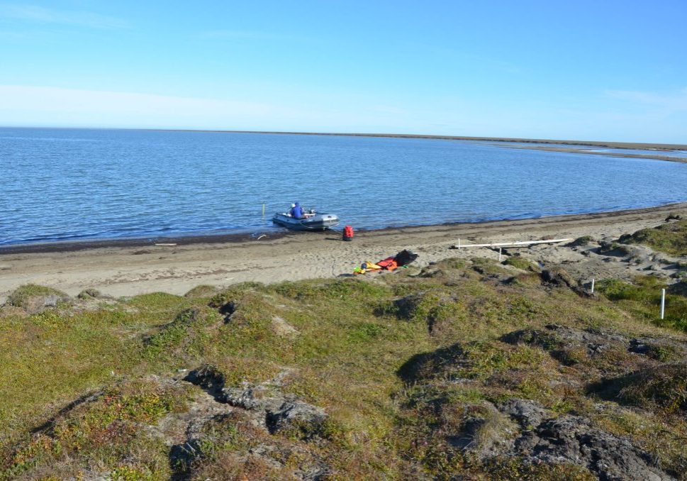 Groundwater study area along the shoreline of Kaktovik Lagoon. Photo courtesy of James McClelland