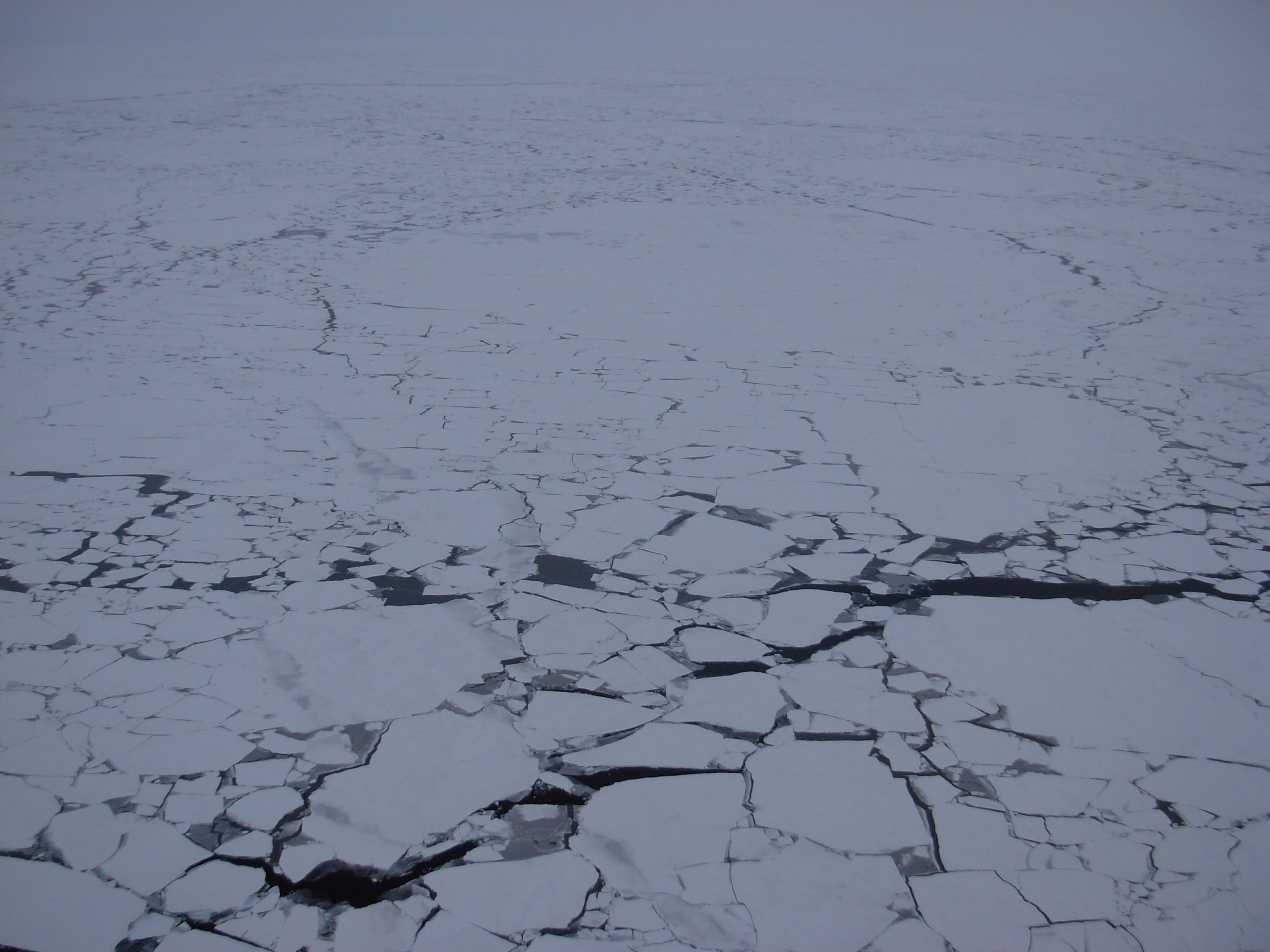 Thin ice conditions surround the only large floe (top middle) selected for IBO deployment.  (Photo by Rick Krishfield)