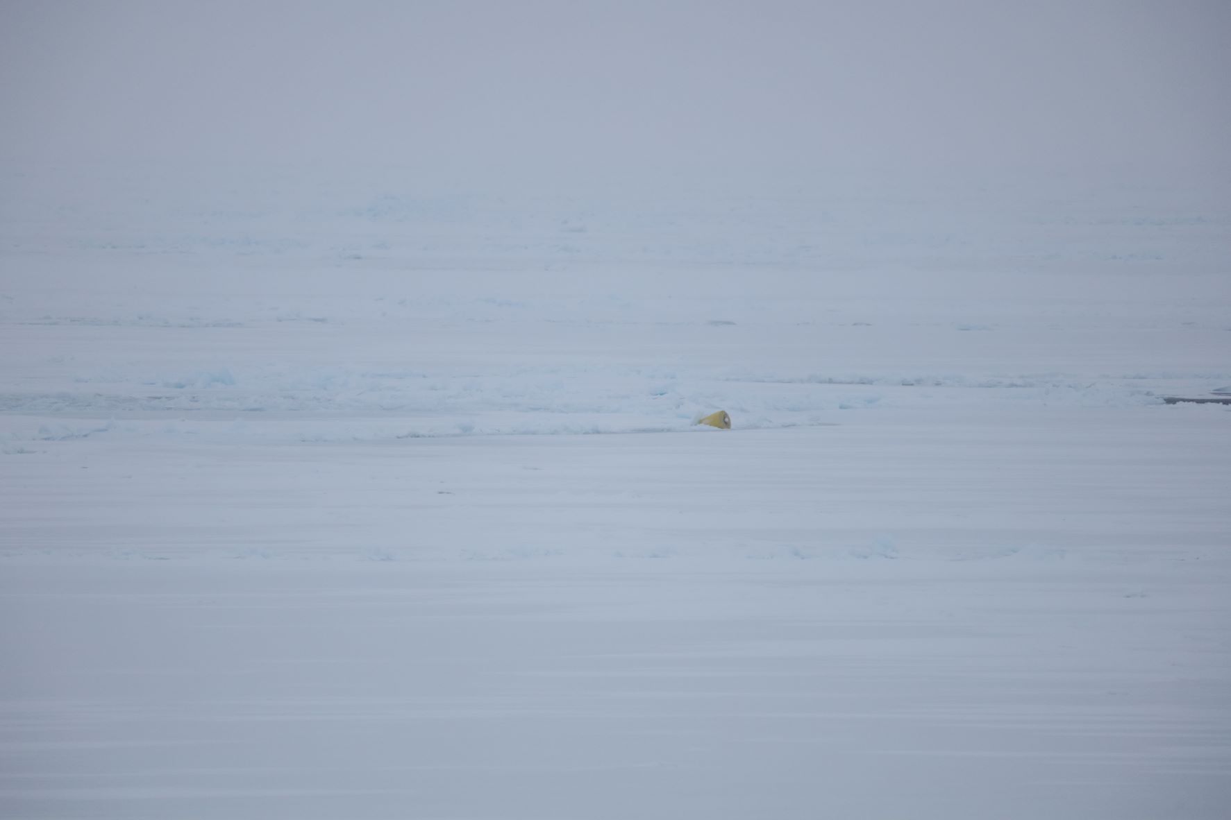 ITP 115 tilted over by the ice one day after deployment during SODA 2021. (Photo by Kayleigh Griffen)