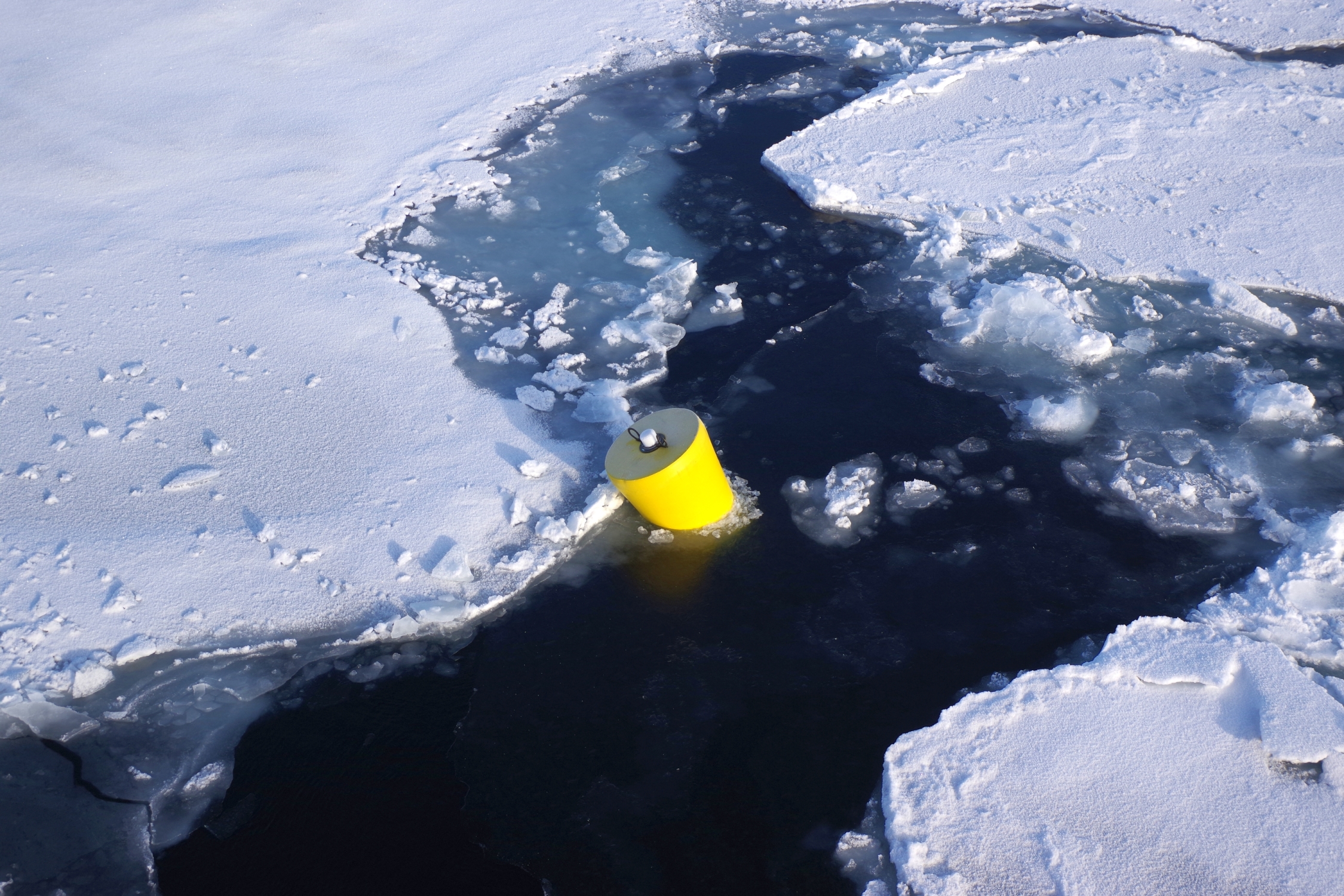 ITP 117 is found drifting between icefloes the following year after being deployed.  (Photo by Dave Riedel)