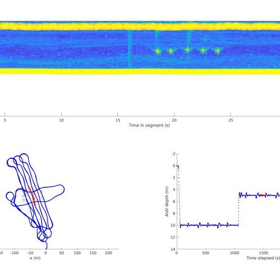 scientific echogram