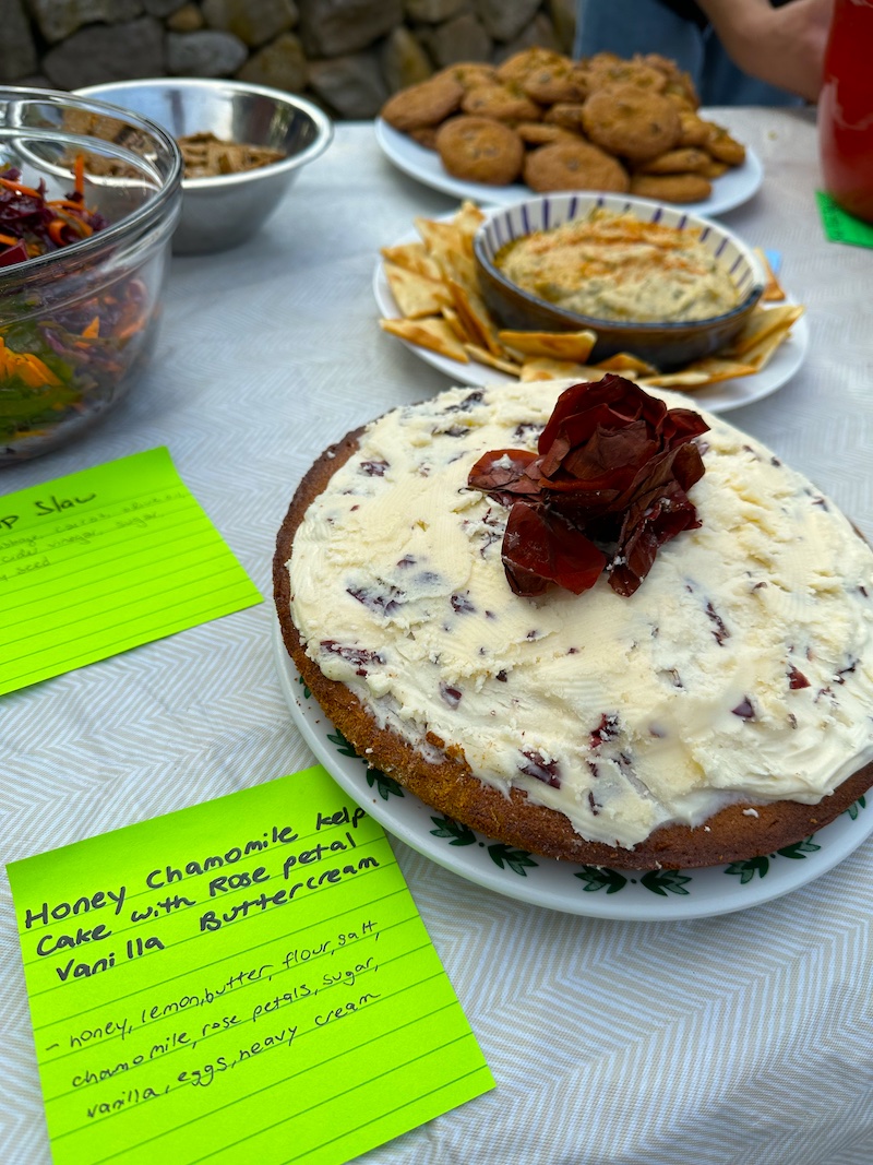 Photo: Elise Hugus (WHOI)