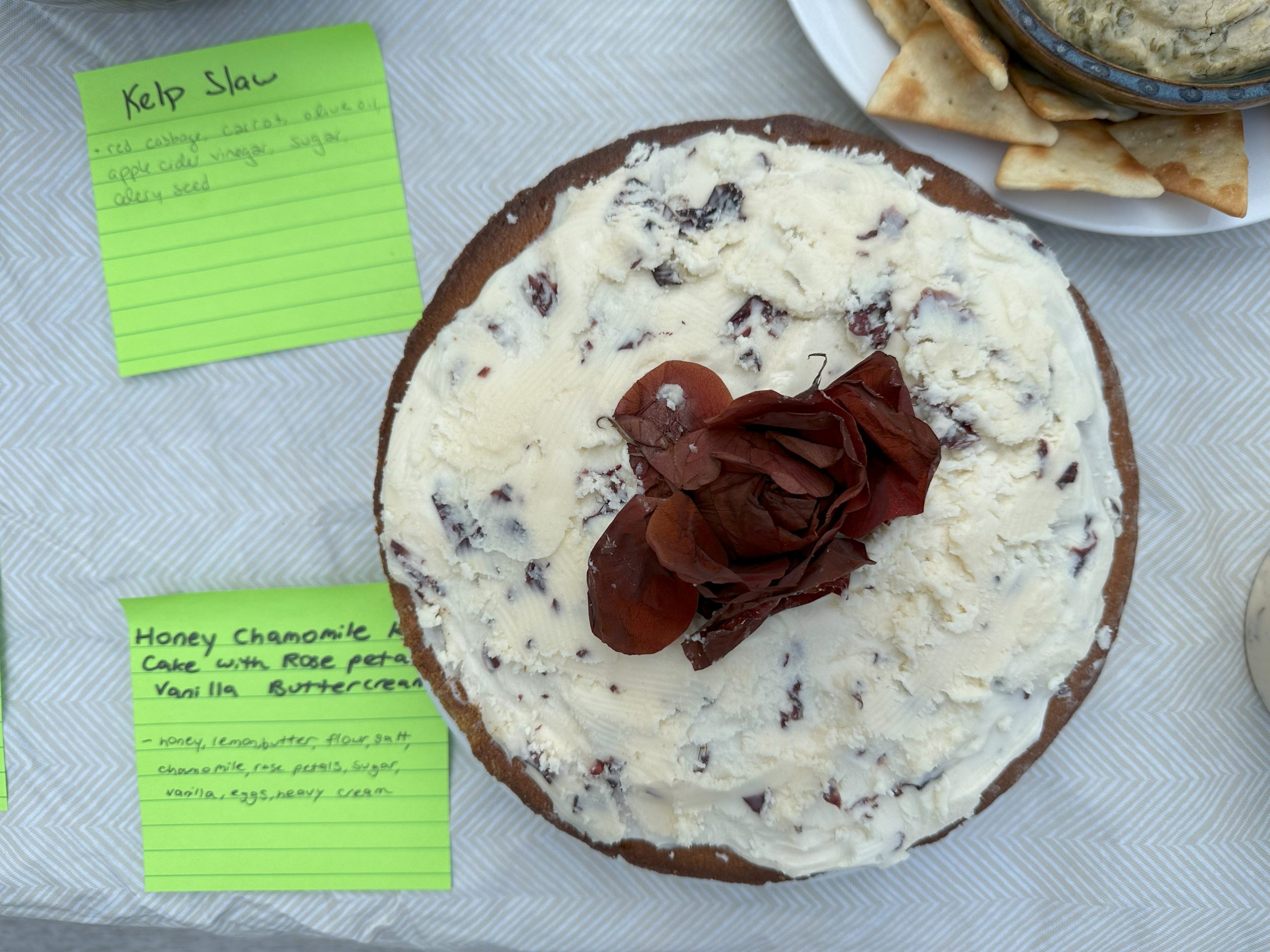 Photo: Elise Hugus (WHOI)