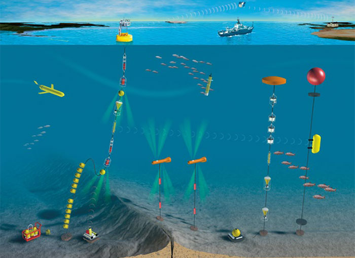 Networks of fixed and mobile platforms, some associated with existing subsea infrastructure,
can provide continuous, long-term monitoring of marine environmental conditions.
Principal Engineers (Woods Hole Oceanographic Institution)