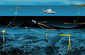 Networks of fixed and mobile platforms, some associated with existing subsea infrastructure,
can provide continuous, long-term monitoring of marine environmental conditions.
Principal Engineers (Woods Hole Oceanographic Institution)