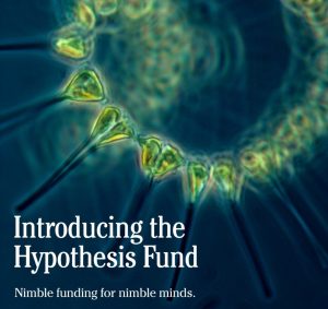 The Hypothesis Fund's logo, a chain of diatoms in a spiral are imaged at high magnification against a dark background. Text in the bottom left corner reads "Introducing the Hypothesis Fund: Nimble funding for nimble minds"