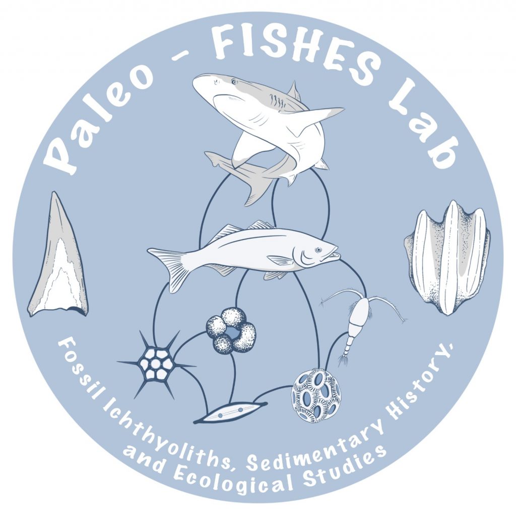 The Paleo-FISHES Lab Logo is a circular logo that reads "Paleo-FISHES Lab" along the top, "Fossil Icthyoliths, Sedimentary History, and Ecological Studies" on the bottom, and has a food web with plankton, fish and a shark in the middle of the circle. Between the sets of words around the edge of the logo are a fossil fish tooth and a fossil denticle. All images are sketches of the organisms and fossils they represent. The logo is blue, with black text and the sketches are grayscale.