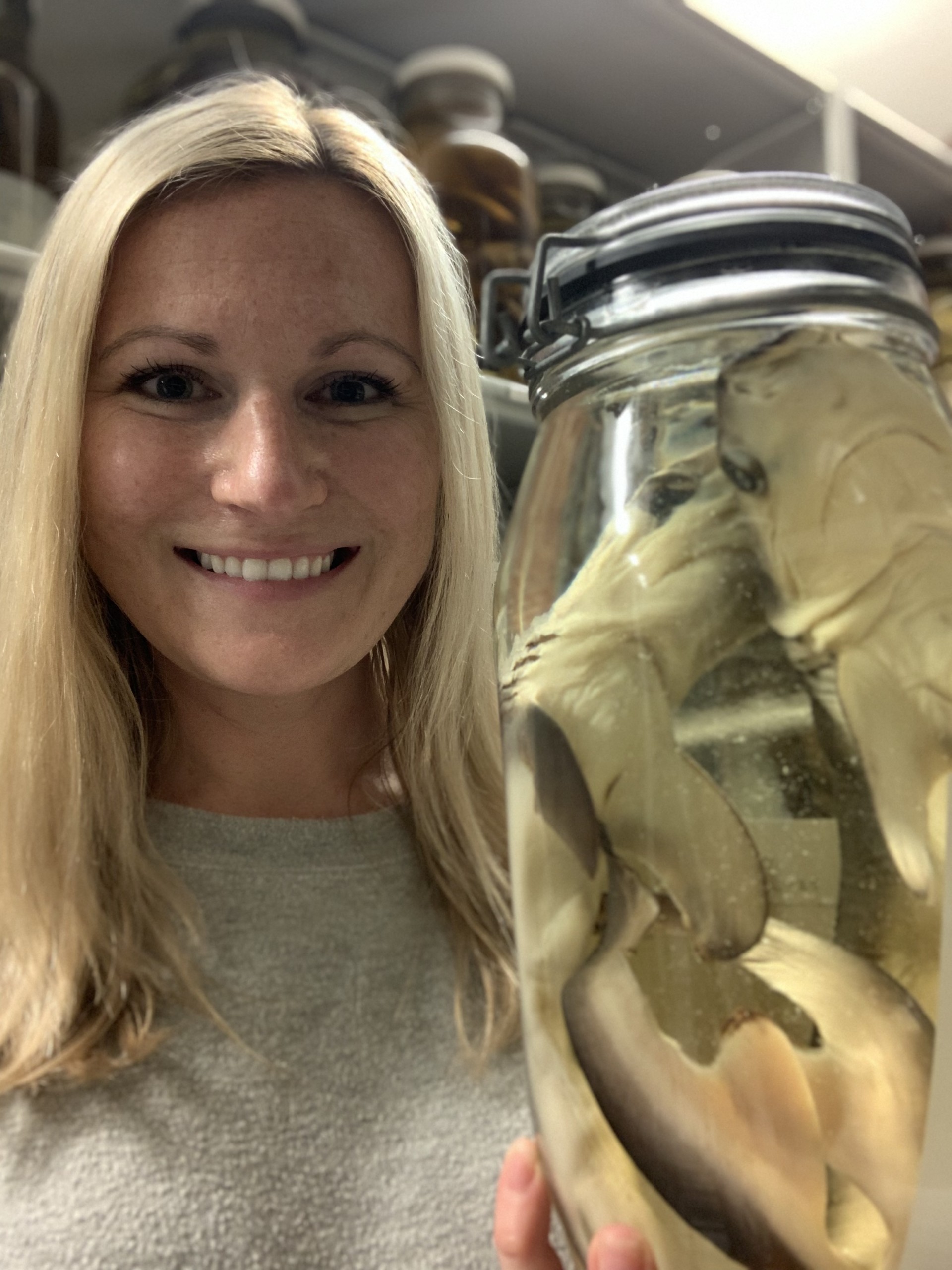 Molly Gabler-Smith, a white woman with long blonde hair, stands in the fish collections at the Harvard Museum of Comparative Zoology. She is holding a large jar containing several preserved baby sharks up next to her head.