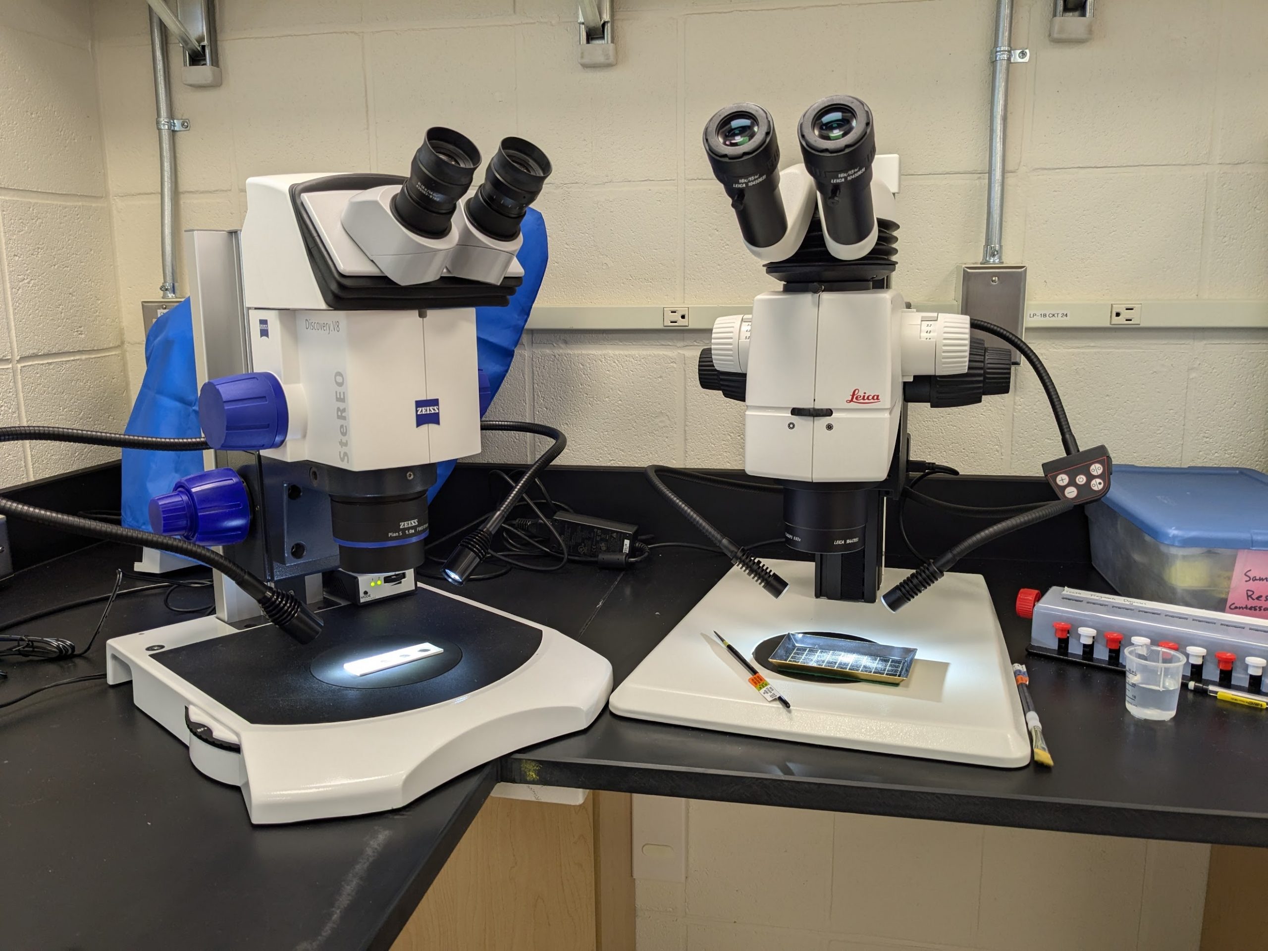 A pair of microscopes sits on the corner of a counter. One microscope has a small black tray with dust on it, and the other microscope has a cardboard microfossil slide. These scopes show a sample in the process of being picked through for microfossils.