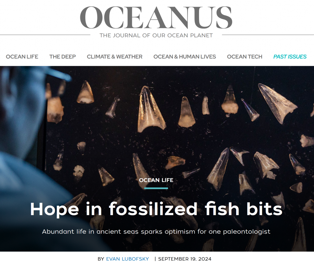 Image is a screenshot of the beginning image of the Oceanus article - it says "OCEANUS" at the top, and is an artistic picture of Elizabeth looking at microfossil teeth from behind. The image says "Hope in fossilized fish bits"