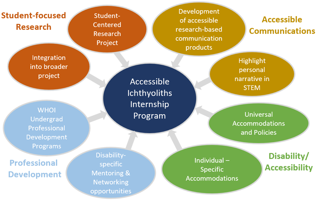 Image Description: A flow chart showing the components of the Accessible Ichthyoliths Internship program, with four groups of bubbles surrounding and pointing to a central bubble labeled “Accessible Ichthyoliths Internship Program”. The bubbles include Student-focused research (student-centered research project and integration into broader project), Accessible communications (development of accessible research-based communication products, highlight personal narrative in STEM), Professional Development (WHOI undergrad professional development programs and disability-specific mentoring and networking opportunities), and disability/accessibility (universal accommodations and policies and individual-specific accommodations).