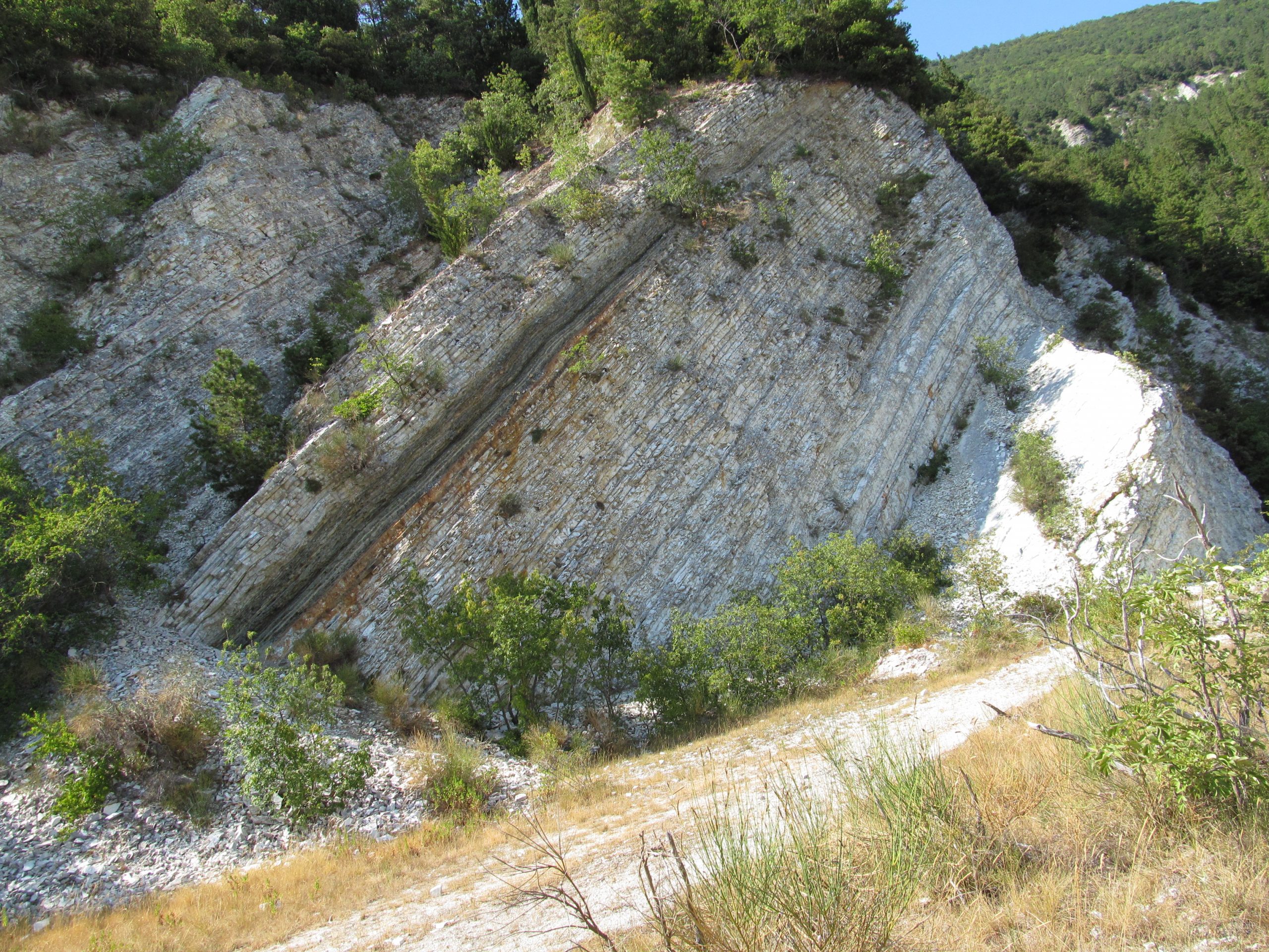 A large rock face/cliff is shown. The layers of hte rock are stacked on top of each other, and the majority of layers are white or light gray, but there is a large dark layer-band through the middle of the section, depicting the Oceanic Anoxic Event