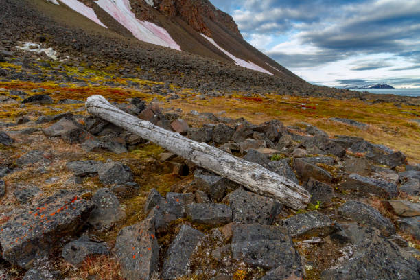 Unknown-1 Remains of Nansen’s winter camp on Franz Joseph Land. Credit: Getty Images