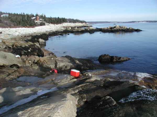 Nova Scotia and Maine