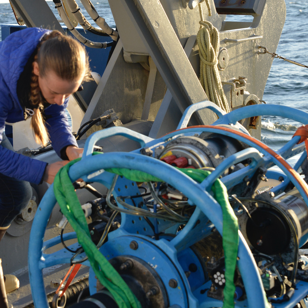 Jennifer Batryn  does an instrument check on the near surface instrument frame.
